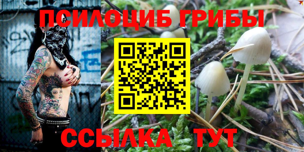 Галлюциногенные грибы Cubensis Нижнекамск