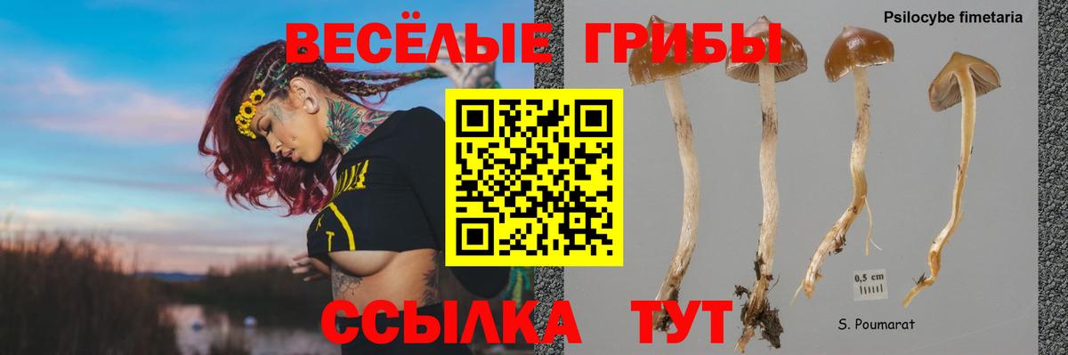 Псилоцибиновые грибы прущие грибы  Вход с VPN  Псилоцибиновые грибы Magic Shrooms  Нижнекамск 